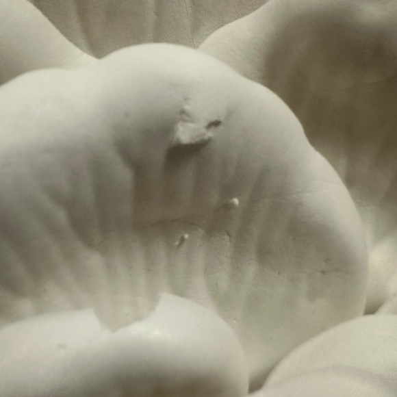 White Foam Flower 13” - Picture 3 of 4